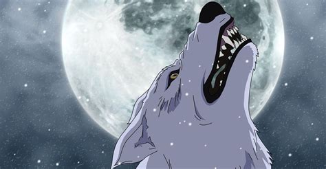 wolf girl anime|The 15+ Best Werewolf Anime Of All Time